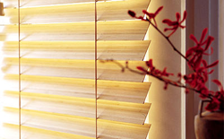 купить жалюзи недорого запорожье фабрика комфорта